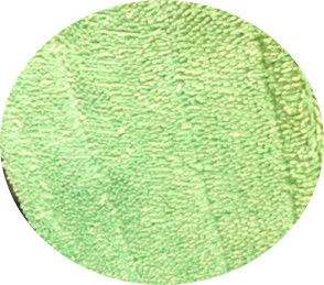 Позеленейте переплетенную голову пусковых площадок моп чистки микрофибер стежком створки 13*47 влажную