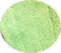 Позеленейте переплетенную голову пусковых площадок моп чистки микрофибер стежком створки 13*47 влажную