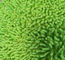 Синель Микрофибер 650гсм зеленый небольшой сложил 13*47км Оксфорд карманный намочил пусковые площадки Моп