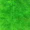 Ватка 30x30 коралла зеленого цвета ткани чистки Microfiber полиамида полиэстера