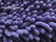Пурпурный красочный Моп Микрофибер влажный прокладывает синель длины 2км волос 13*47км большой