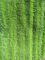 Зеленый цвет переплел пусковые площадки 14*48 Моп Микрофибер кармана ткани Оксфорда створки влажные